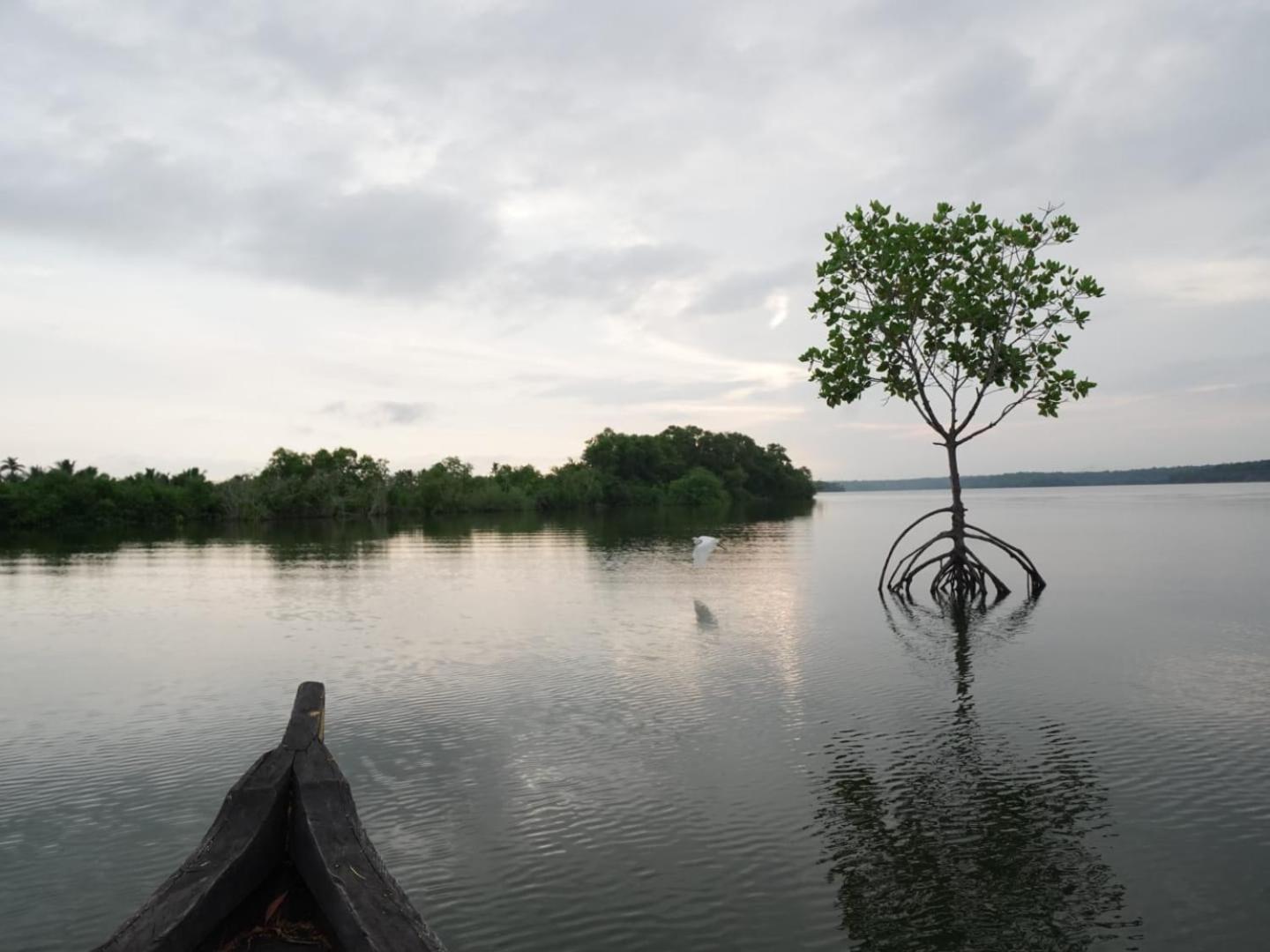 Bliss Homestay Munroe Island Mundrothuruth Luaran gambar