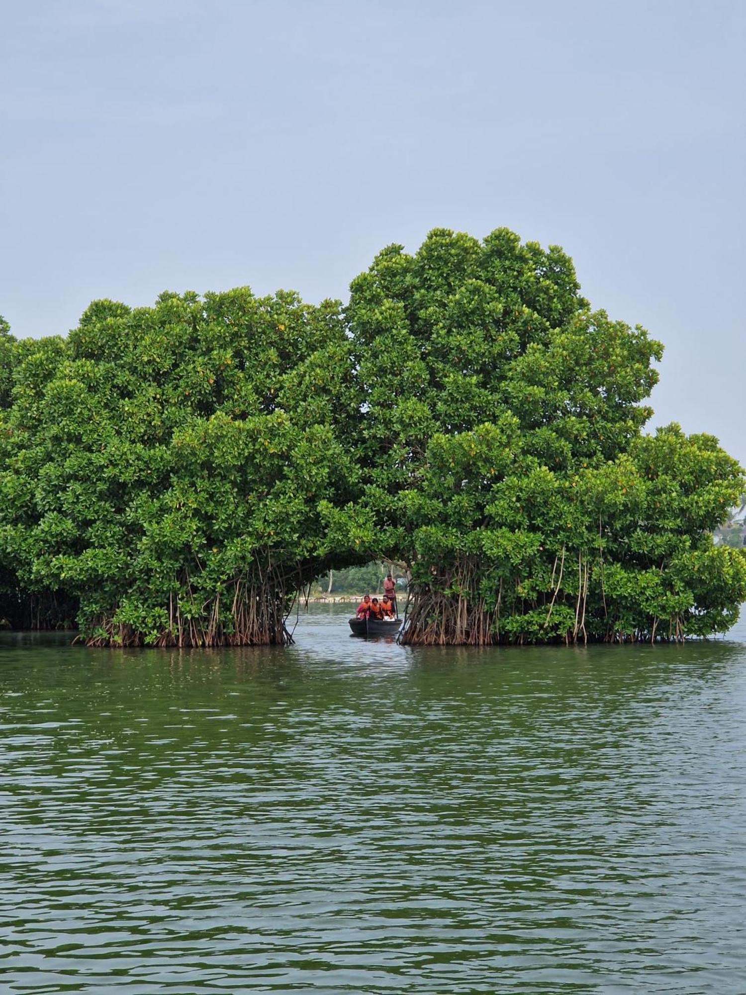 Bliss Homestay Munroe Island Mundrothuruth Luaran gambar